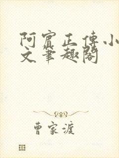 阿宾正传小说全文笔趣阁