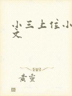 小三上位小说全文