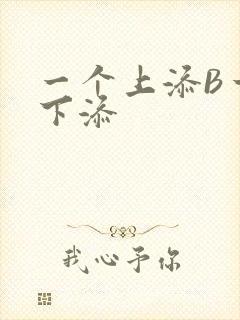 一个上添B一个下添