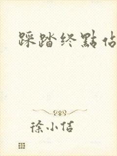 踩踏终点站封面