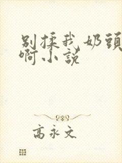 别揉我奶头嗯～啊小说