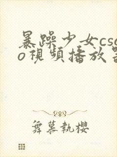 暴躁少女csgo视频播放器推荐