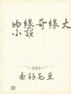 内缘奇缘大团圆小说