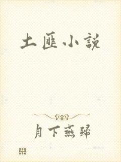 土匪小说