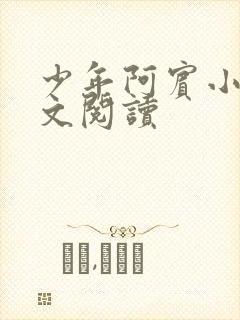 少年阿宾小说全文阅读封面