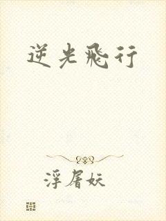 逆光飞行