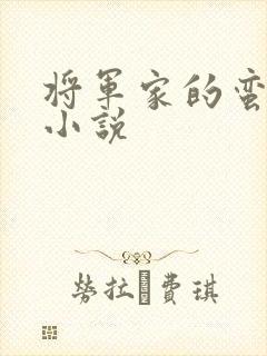 将军家的蛮妻 小说