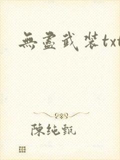 无尽武装txt封面