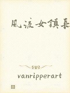风流女镇长封面