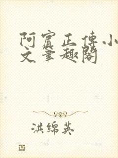 阿宾正传小说全文笔趣阁