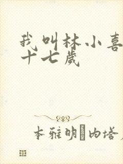 我叫林小喜今年十七岁
