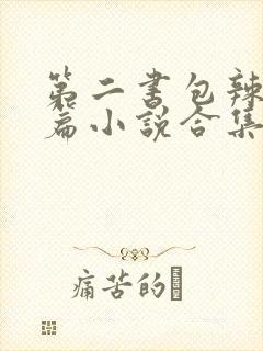 第二书包辣网短篇小说合集封面