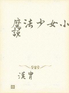 魔法少女小圆小说封面