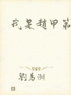 我是赵甲第小说封面