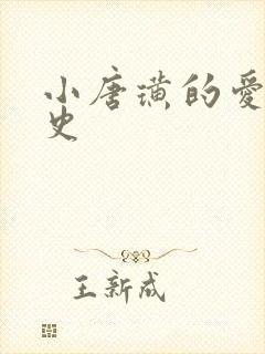 小唐璜的爱情历史