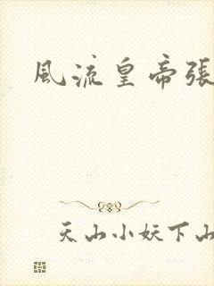 风流皇帝张无忌