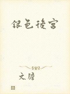 银色后宫封面