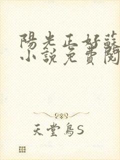 阳光正好苏玥玥小说免费阅读无弹窗