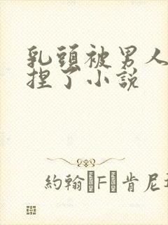 乳头被男人使劲捏了小说封面