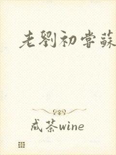 老刘初尝苏荷媳