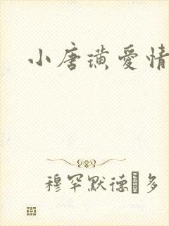 小唐璜爱情历史