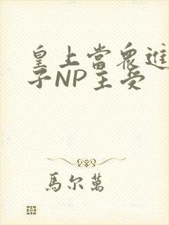 皇上当众进入太子NP主受封面