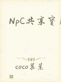 NpC共享宝贝