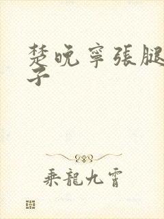 楚晚宁张腿放棋子