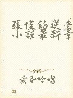 张俊的逆袭之路小说最新章节封面