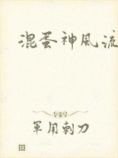 混蛋神风流封面