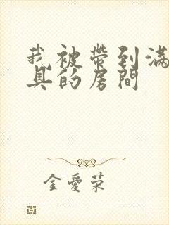 我被带到满是玩具的房间封面