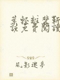 叶轻离裴靳墨小说免费阅读无弹窗