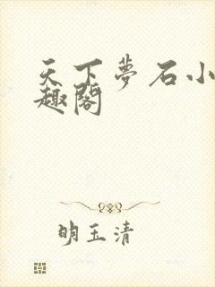 天下梦石小说笔趣阁