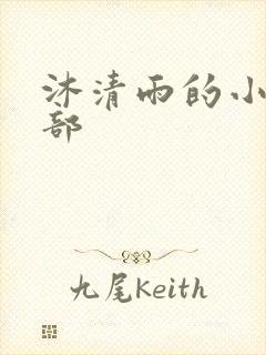 沐清雨的小说全部