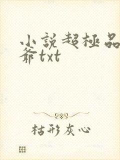 小说超极品万岁爷txt