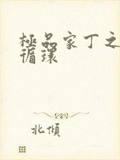 极品家丁之因果循环