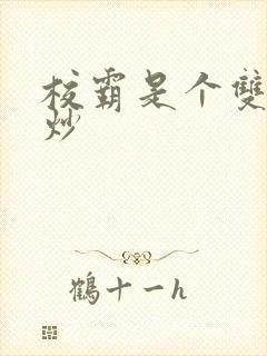 校霸是个双被爆炒