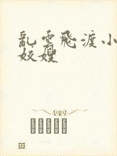 乱云飞渡小说之姣嫂