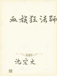 血族狂法师封面