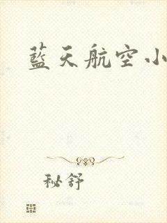 蓝天航空小说