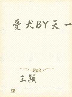 爱犬BY天一封面