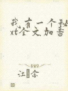 我有一个秘密txt全文加番外