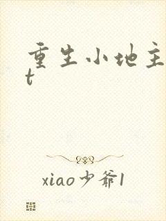 重生小地主txt封面