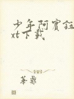 少年阿宾钰慧txt下载