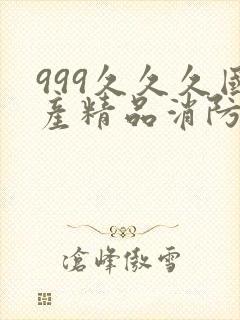 999久久久国产精品消防器材