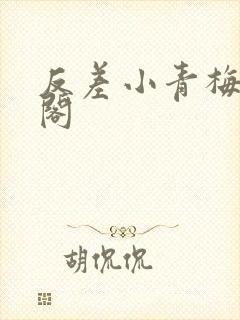 反差小青梅笔趣阁