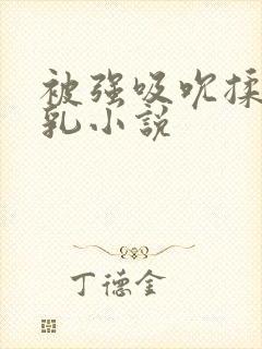被强吸吮揉捏双乳小说
