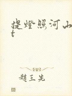 提灯照河山txt封面