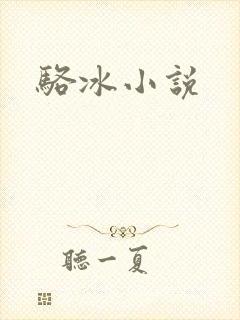 骆冰小说封面