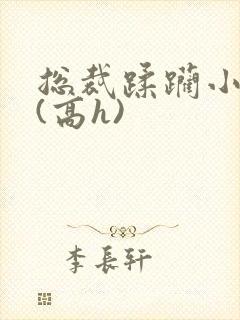 总裁蹂躏小娇妻(高h)